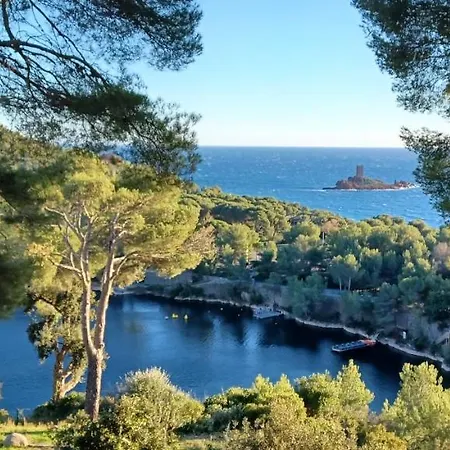 Le Dramont Vue Panoramique Foret * Saint-Raphaël
