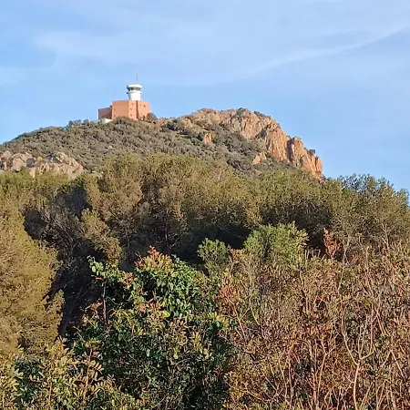 Le Dramont Vue Panoramique Foret Saint-Raphaël