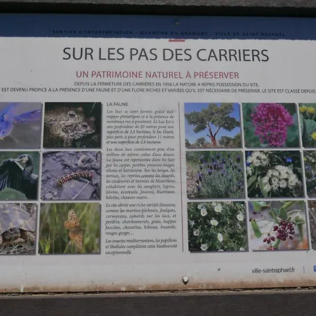 Le Dramont Vue Panoramique Foret Saint-Raphaël