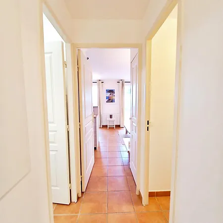 Le Dramont Vue Panoramique Foret